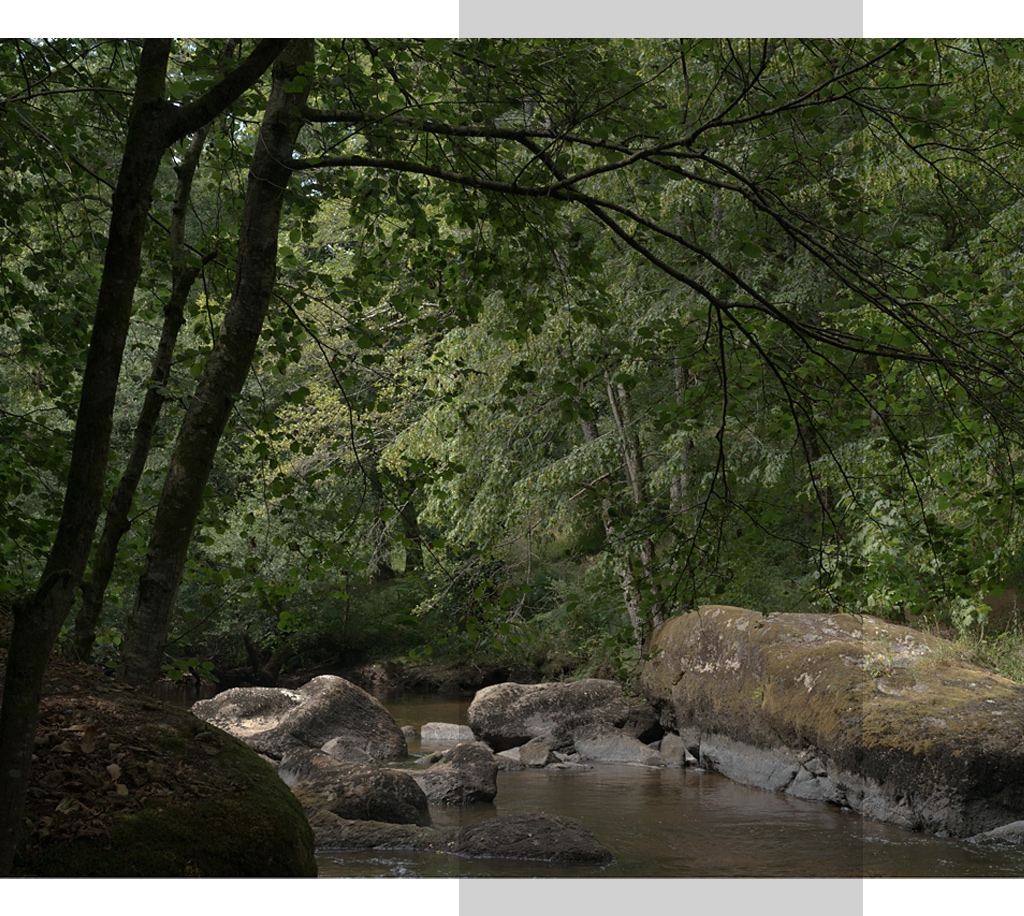 stage photo de paysage